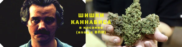 ешки Белокуриха