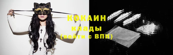 ECSTASY Кадников