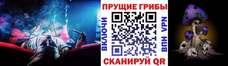 Псилоцибиновые грибы ЛСД Будённовск